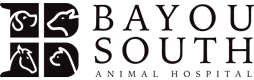 Bayou South Animal Hospital